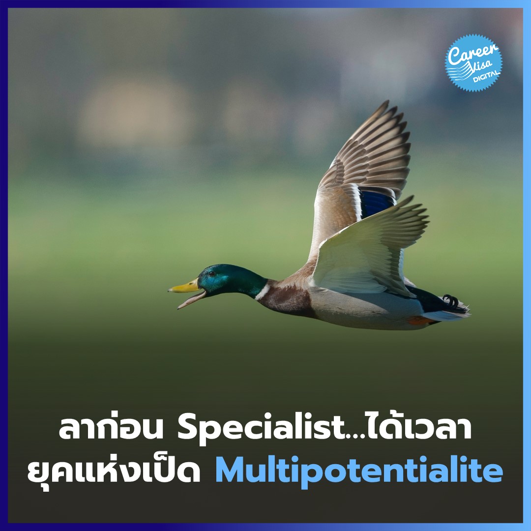 Specialist